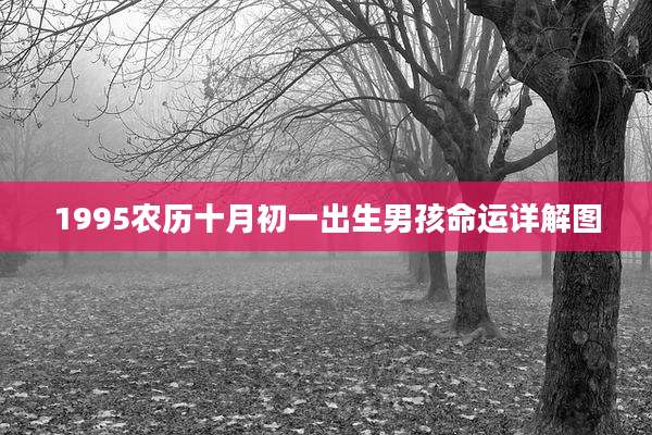 1995农历十月初一出生男孩命运详解图