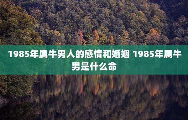 1985年属牛男人的感情和婚姻 1985年属牛男是什么命