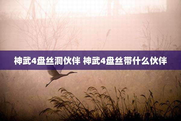 神武4盘丝洞伙伴 神武4盘丝带什么伙伴