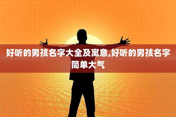 好听的男孩名字大全及寓意,好听的男孩名字简单大气