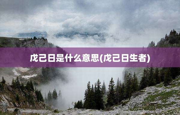 戊己日是什么意思(戊己日生者)