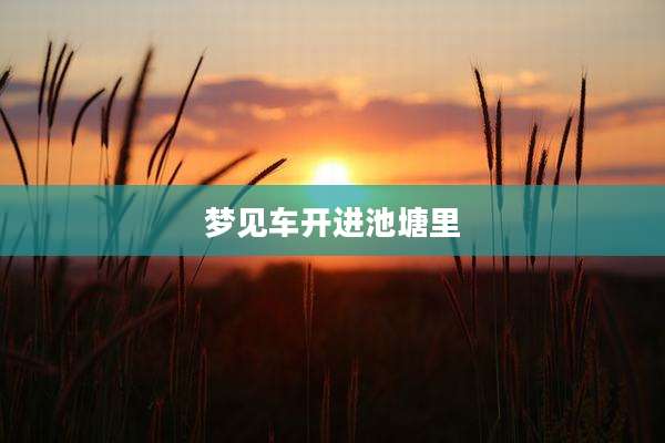 梦见车开进池塘里