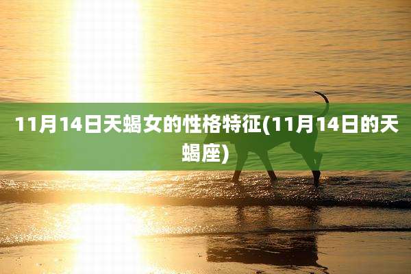 11月14日天蝎女的性格特征(11月14日的天蝎座)
