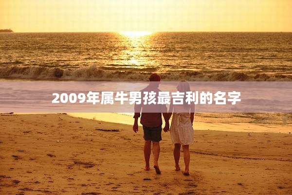 2009年属牛男孩最吉利的名字
