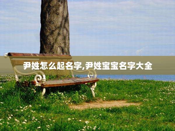 尹姓怎么起名字,尹姓宝宝名字大全
