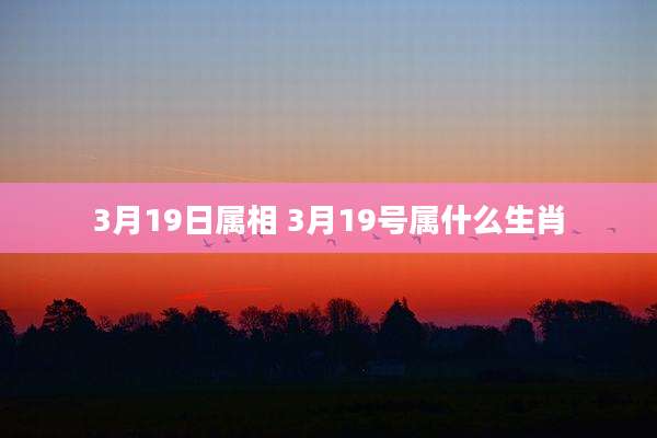 3月19日属相 3月19号属什么生肖