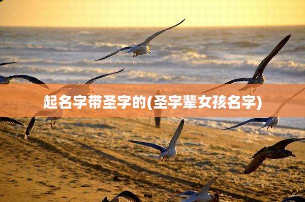 起名字带圣字的(圣字辈女孩名字)