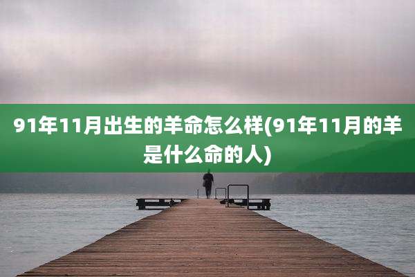 91年11月出生的羊命怎么样(91年11月的羊是什么命的人)