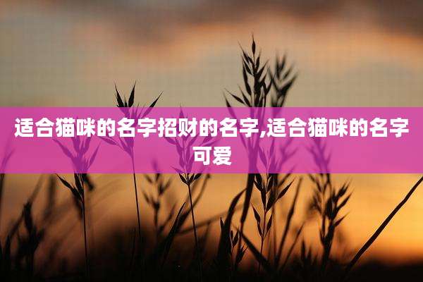 适合猫咪的名字招财的名字,适合猫咪的名字可爱
