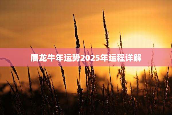 属龙牛年运势2025年运程详解