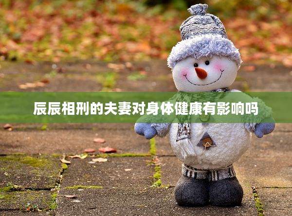 辰辰相刑的夫妻对身体健康有影响吗