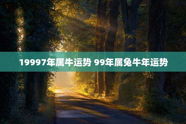 19997年属牛运势 99年属兔牛年运势