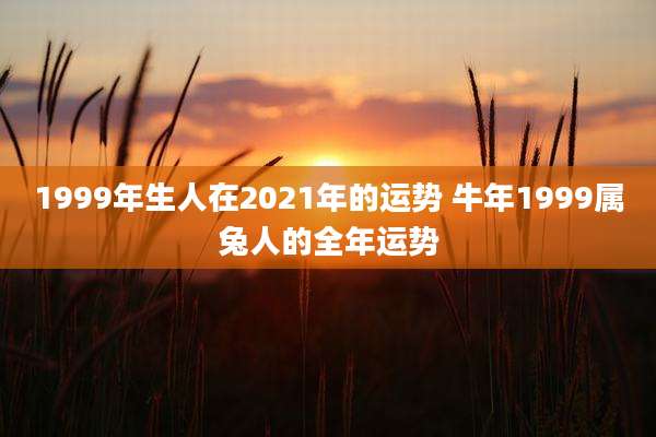 1999年生人在2021年的运势 牛年1999属兔人的全年运势