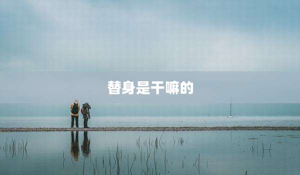 替身是干嘛的
