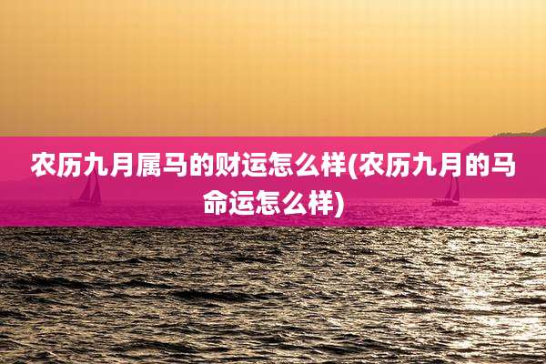 农历九月属马的财运怎么样(农历九月的马命运怎么样)
