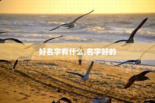 好名字有什么,名字好的