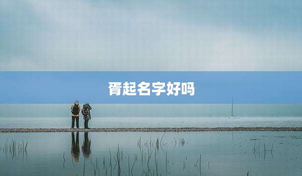 胥起名字好吗