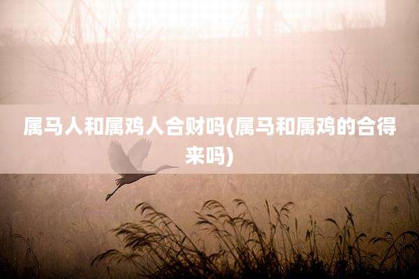 属马人和属鸡人合财吗(属马和属鸡的合得来吗)