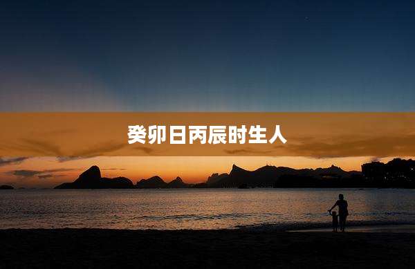 癸卯日丙辰时生人