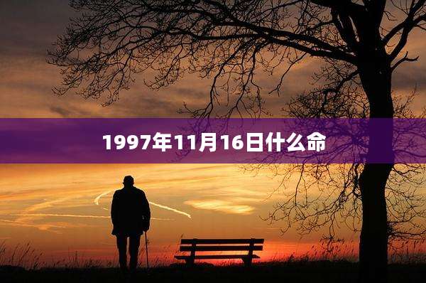 1997年11月16日什么命