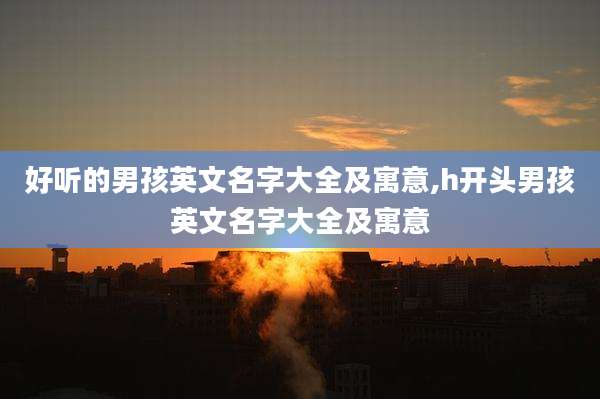 好听的男孩英文名字大全及寓意,h开头男孩英文名字大全及寓意
