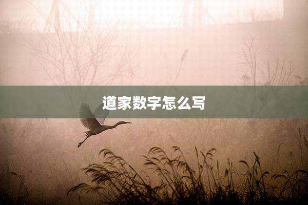道家数字怎么写