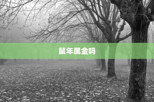鼠年属金吗
