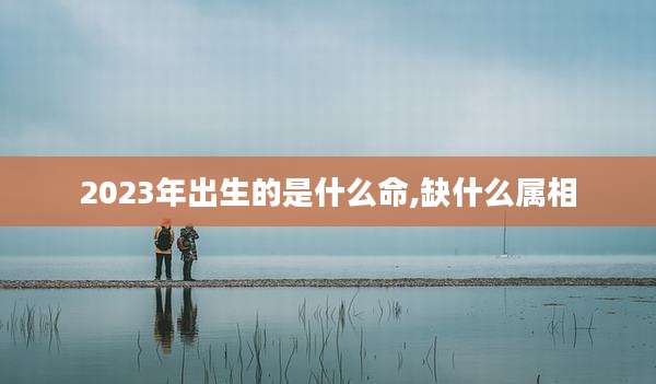 2023年出生的是什么命,缺什么属相