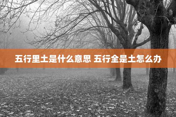 五行里土是什么意思 五行全是土怎么办