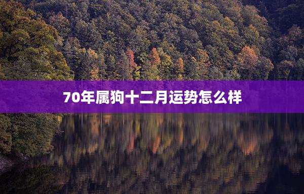 70年属狗十二月运势怎么样