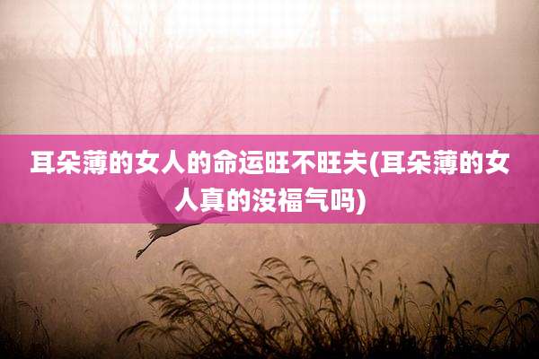 耳朵薄的女人的命运旺不旺夫(耳朵薄的女人真的没福气吗)