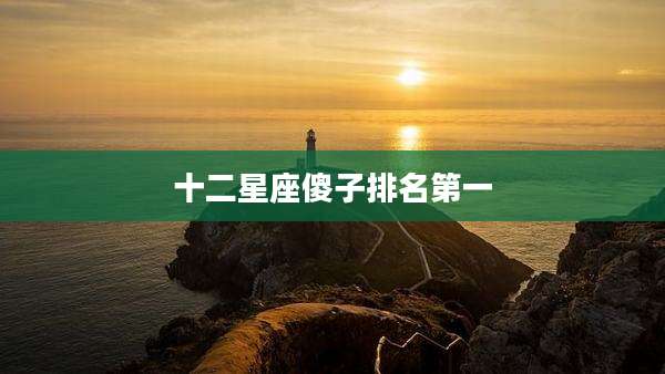 十二星座傻子排名第一