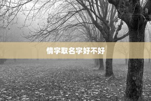 情字取名字好不好