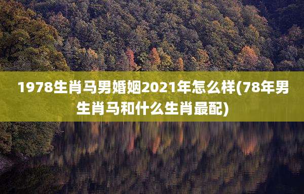 1978生肖马男婚姻2021年怎么样(78年男生肖马和什么生肖最配)