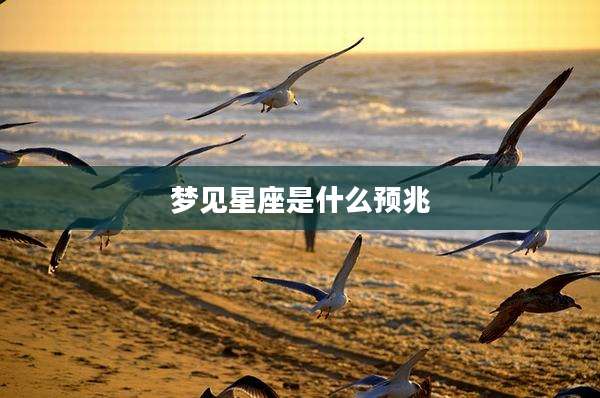 梦见星座是什么预兆