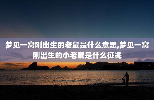 梦见一窝刚出生的老鼠是什么意思,梦见一窝刚出生的小老鼠是什么征兆