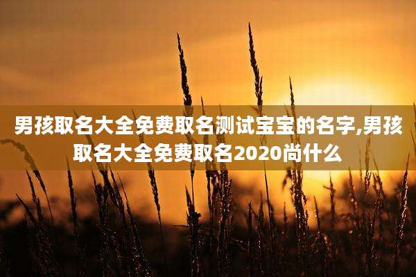 男孩取名大全免费取名测试宝宝的名字,男孩取名大全免费取名2020尚什么
