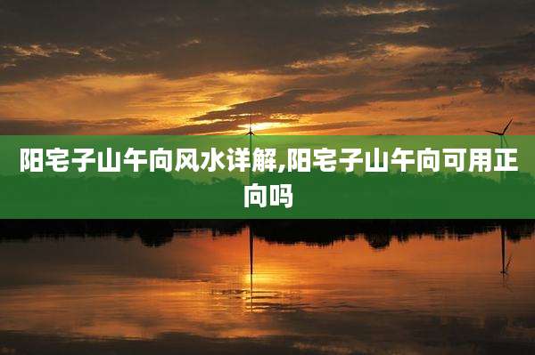 阳宅子山午向风水详解,阳宅子山午向可用正向吗