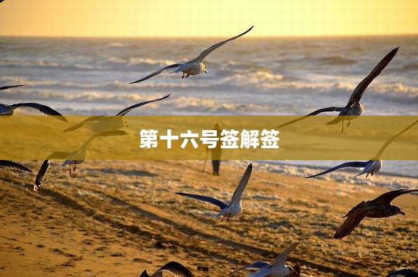 第十六号签解签