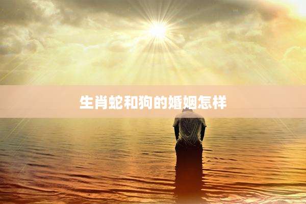 生肖蛇和狗的婚姻怎样