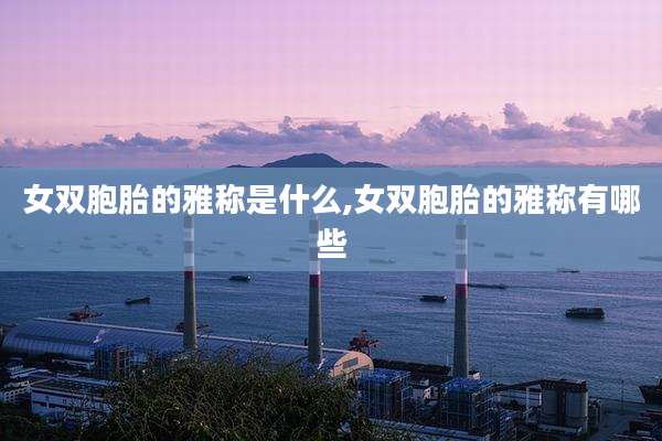 女双胞胎的雅称是什么,女双胞胎的雅称有哪些