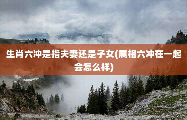 生肖六冲是指夫妻还是子女(属相六冲在一起会怎么样)