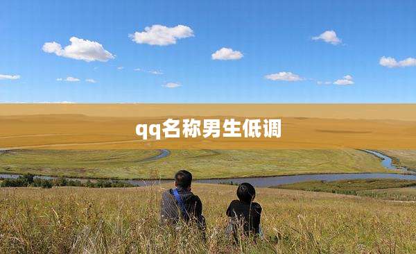 qq名称男生低调