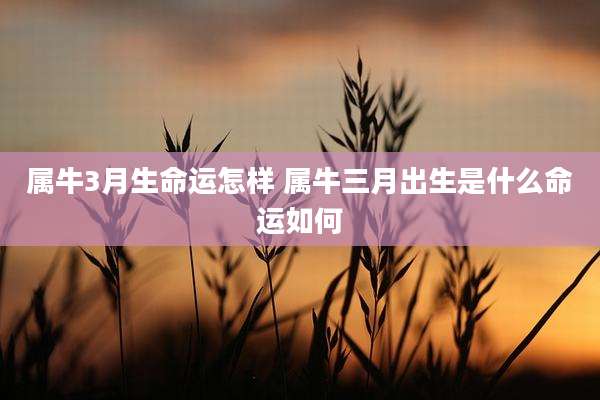 属牛3月生命运怎样 属牛三月出生是什么命运如何