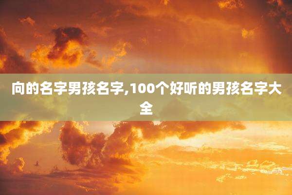 向的名字男孩名字,100个好听的男孩名字大全