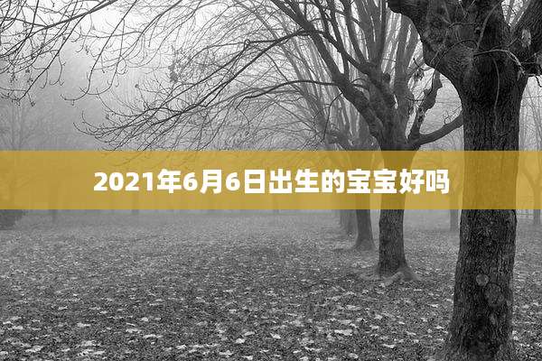 2021年6月6日出生的宝宝好吗