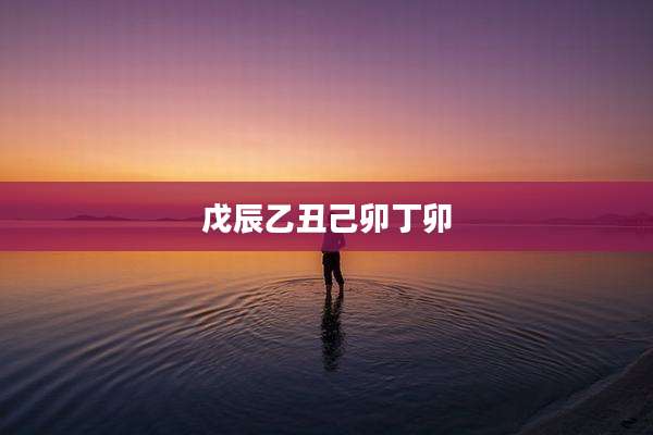 戊辰乙丑己卯丁卯