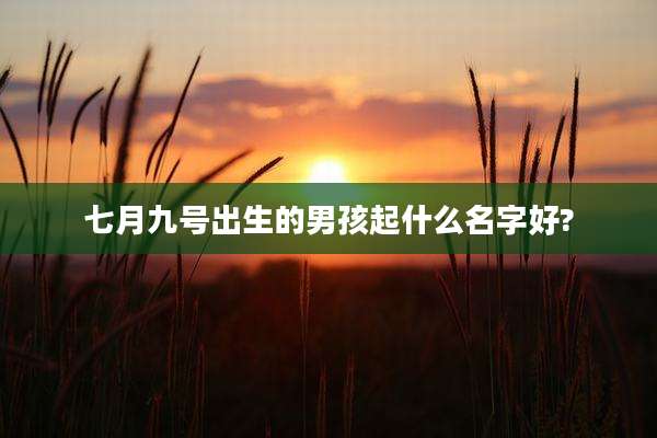 七月九号出生的男孩起什么名字好?