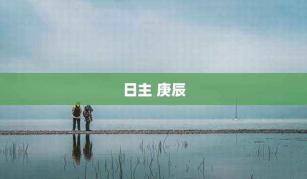 日主 庚辰