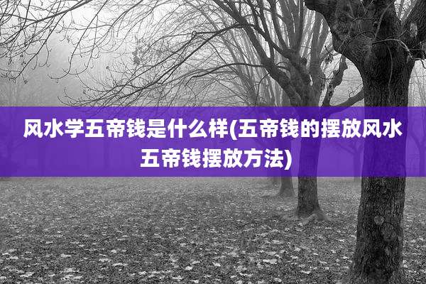 风水学五帝钱是什么样(五帝钱的摆放风水 五帝钱摆放方法)